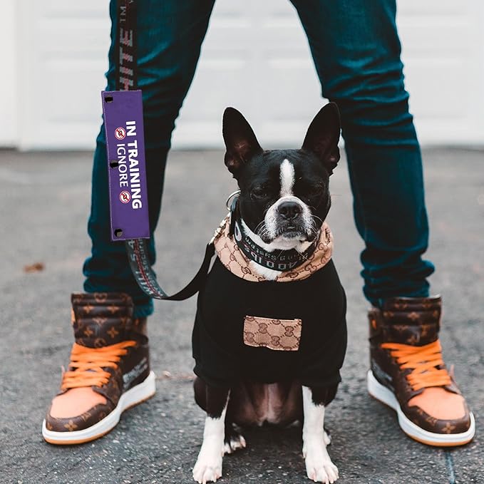 Training Ignore Dog Leash Wrap & Sleeve - Social Distancing Patch