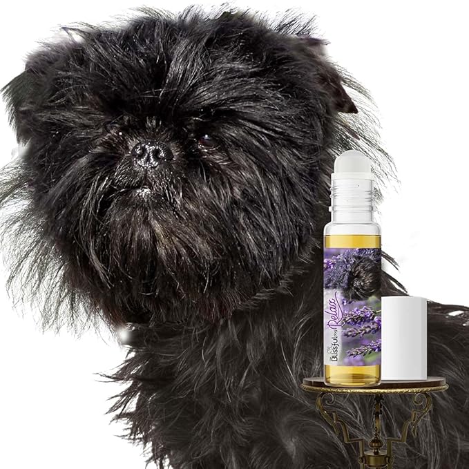 The Blissful Dog Affenpinscher Relax Roll-ON Aromatherapy for Dogs - Anxiety Relief for Dogs