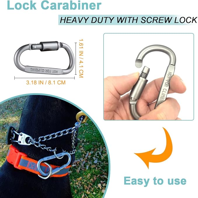 Mayerzon Backup Collar, Double Ended Clip and Carabiner for Prong Collar, Pinch Collar and Dog Harness, Safety Use for Walking and Training (XL, Black)