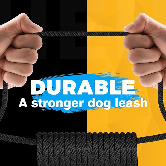FASTFOX Dog Training Leash, 6ft x 1/2 Inch Slip Lead Loop for Small Medium Large Dogs, No Pull 3-in-1 (Black)