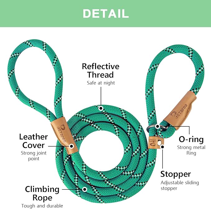 5 FT Slip Lead, Heavy Duty Rope Dog Leash for Small Medium Large Dogs, No Pull Training Lead with Reflective Thread, Strong Comfortable Loop Leash (Green Stripe, Medium(3/8"))