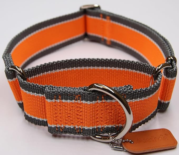 Martingale Collar 1.5 Inch Wide 1600D Extra Strong Anti Escape Nylon Dog Collar, No Pull Heavy Duty Pet Collars with 3-Color Stripe for Medium Dogs (M, Orange & Gray)