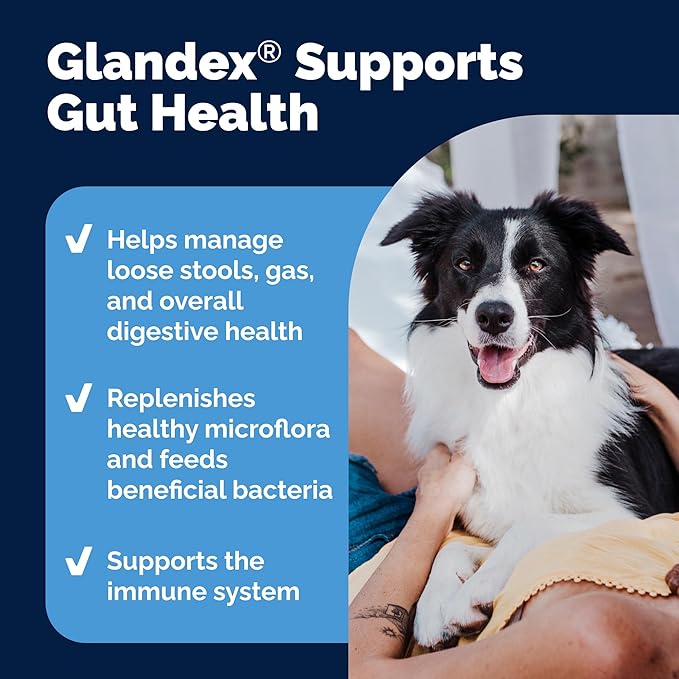 Vetnique Glandex Daily Probiotics for Dogs with Prebiotics to Support Gut Health with Fiber and Digestive Enzymes, Dog Probiotic Powder (4.25oz Powder, Pork Powder)