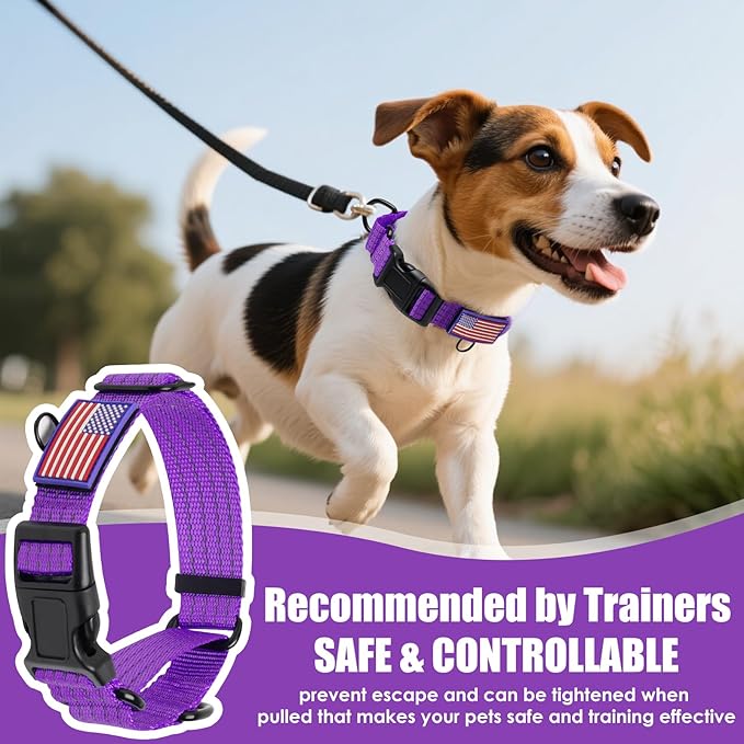 Martingale Dog Collar, Reflective No Pull Training Collar with Quick Release Buckle & USA Flag, Heavy-Duty Nylon, Adjustable for Small Medium Large Dogs (L,Purple with Flag