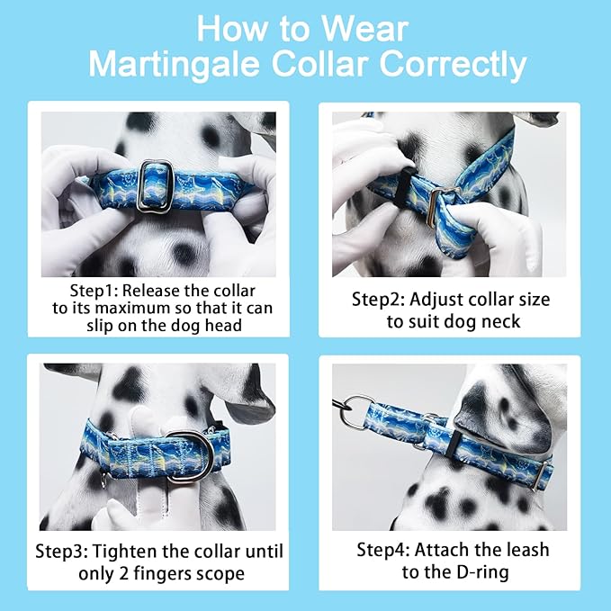 Reflective Martingale Collar for Dogs Nylon Training Collar with No Buckle, No Pull Adjustable Dog Collar for Small Dogs（Blue Starfish，S）