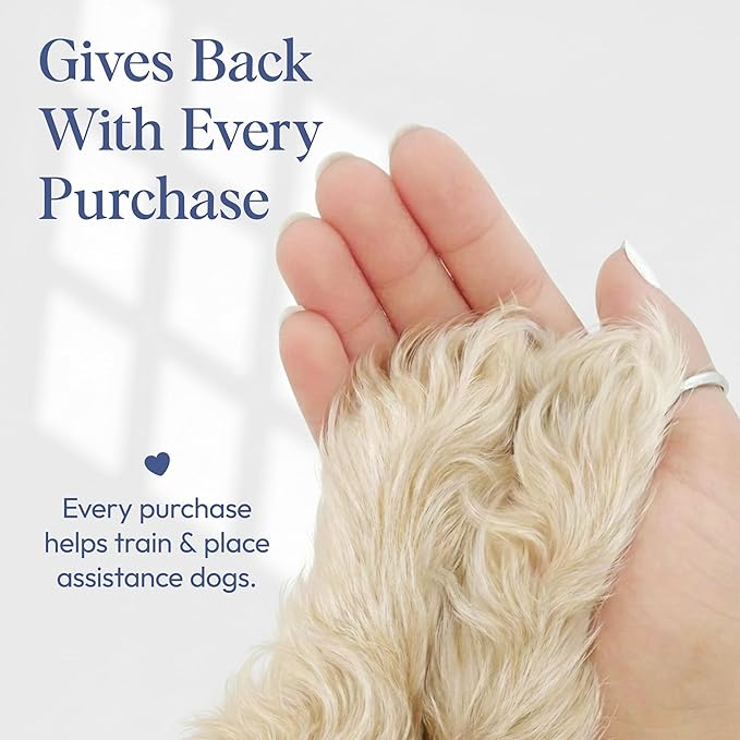 Dog Perfume Spray Long Lasting with Orange Blossom, Lavender, Vanilla Scent - Water-Based, Vegan Cologne - Luxury, Alcohol-Free Grooming Deodorizer for Dogs - Citrus Tale, 3.4 Fl Oz
