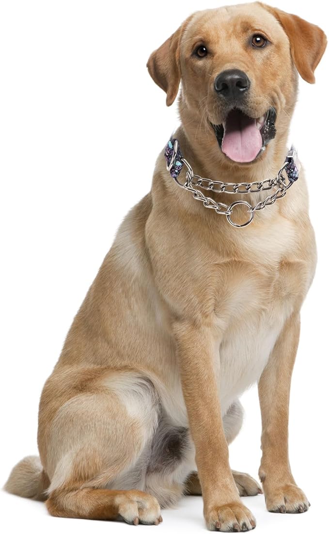Stainless Steel Chain Martingale Collar for Dogs, No Pull Slip Cinch Choker Choke Collar Training Escape Proof Heavy Duty Dog Collar for Small Medium Large Pet Boy Male Dogs, Skull M
