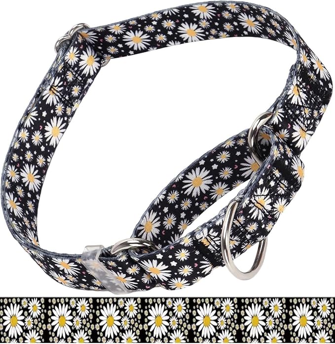 Martingale Collar for Medium Dogs, Girl Dog Collar with Daisy Flowers, Heavy Duty No Pull Dog Collar Floral Design Dog Training Collar, Perfect for Training, Walking, Hunting (Black, M)