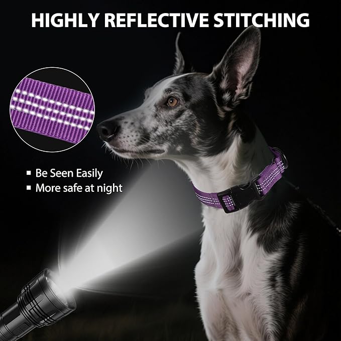 Martingale Dog Collar Quick Release Buckle No Pull Reflective Non-Slip for Medium Large Dogs Training (Purple, Medium)