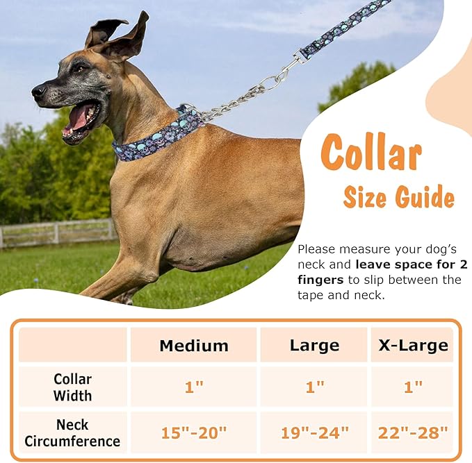Skull Chain Martingale Collar for Dogs, No Pull Slip Cinch Choker Choke Collar Training Escape Proof Heavy Duty Dog Collar for Extra Large Medium Large Pet Boy Male Dogs, L