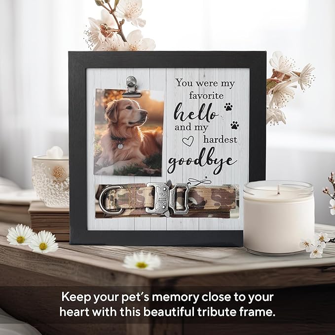 Pet Memorial Frame with Collar Holder – Dog and Cat Loss Remembrance Gift – You Were My Favorite Hello and Hardest Goodbye – Sympathy Keepsake Frame for Pet Lovers