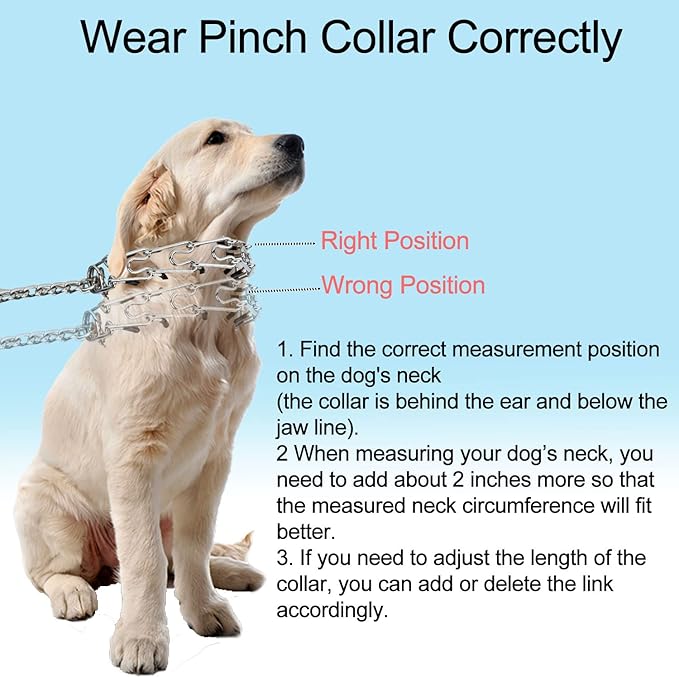 Darkyazi Durable Pinch Collar Stainless Steel Dog Adjustable Pet Training Collar for Medium Large Dogs (Medium (Pack of 1), Silver)