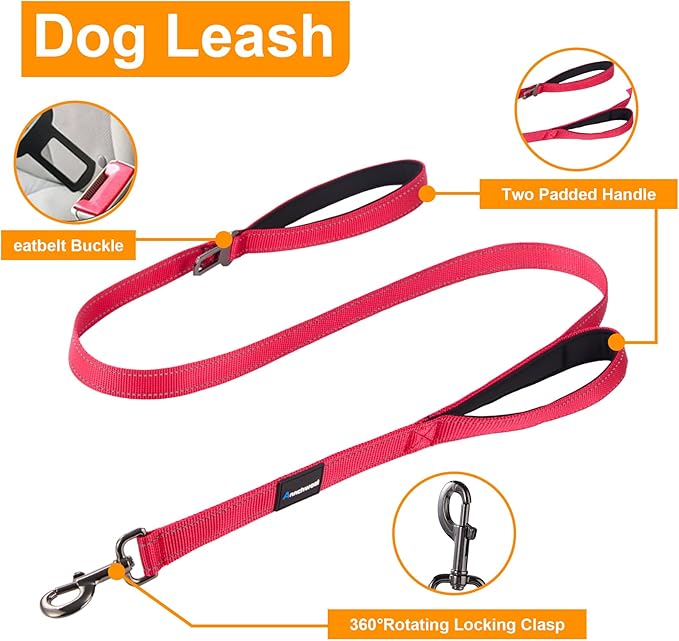 Annchwool Adjustable Dog Collar and 5 FT Leash Set with Heavy Duty Metal Buckle–Comfortable Lining Reflective Collar & Dual-Handles for Small Medium Large Dogs Walking,Running(Red Set,M:17''-23'')