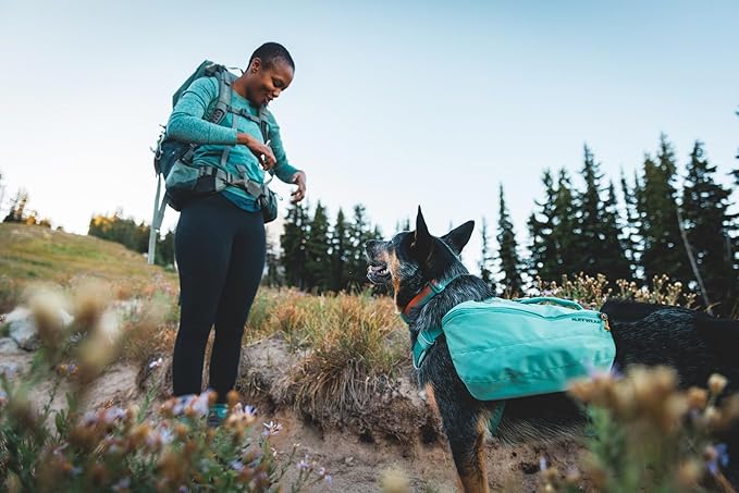 Ruffwear, Front Range Dog Collar, Adjustable Tubelok Webbing, Lightweight, Side Release Buckle, Aluminum V-Ring, Durable for Everyday Use, Red Canyon, 14"-20"