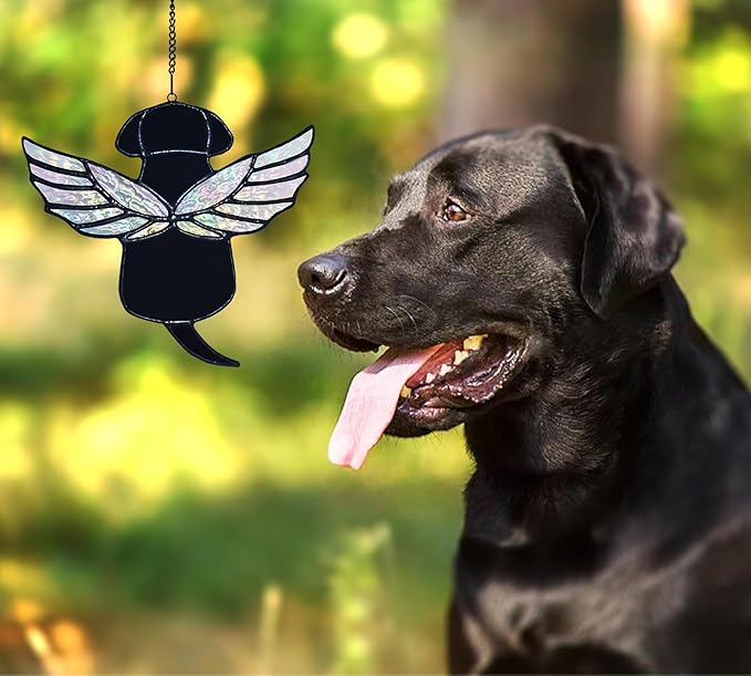 Stained Glass Rainbow Wing Angel Dog Memorial Gift for Loss of Dog Bereavement (Black)