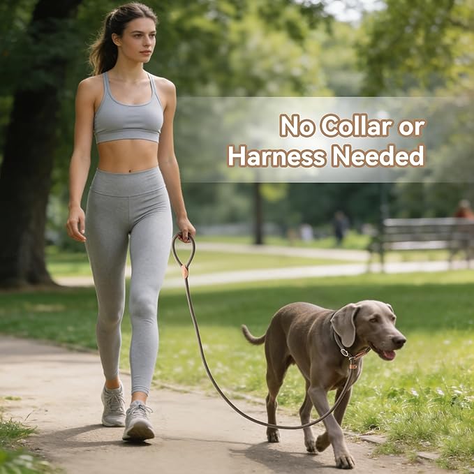 Mile High Life Slip Lead Dog Leash - 4FT, 5FT, 6FT Heavy Duty Rope Leash for No Pull Training, Durable Braided Dog Lead with Leather Stopper & Tip for Medium Large Dogs