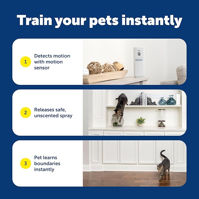 PetSafe SSSCAT Automatic Spray Pet Deterrent - Contactless Behavior Correction - Motion Sensor Air Burst - Odorless - Non-Staining - Versatile Placement Spray - Refill Can
