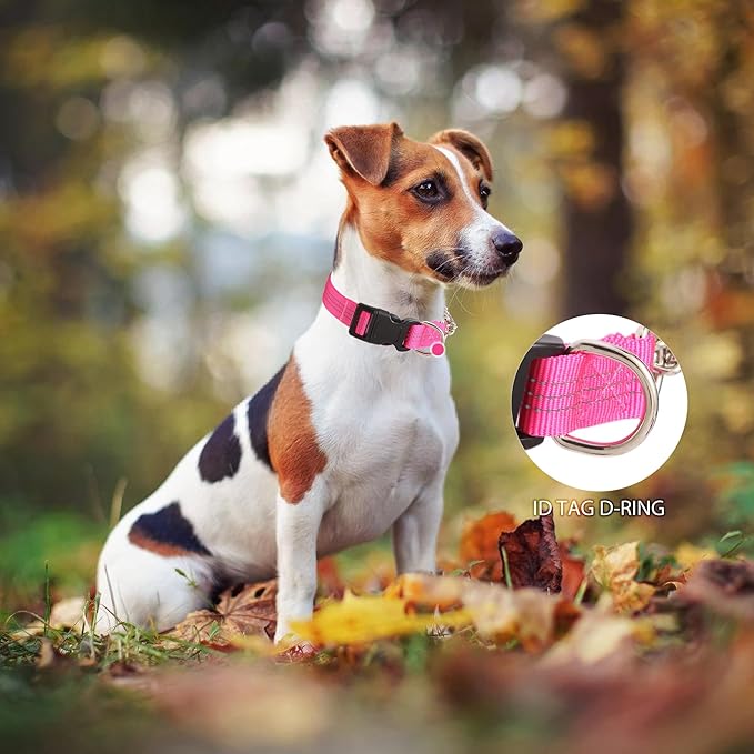 Martingale Dog Collar with Quick Release Buckle Steel Chain No Pull Training Reflective Collar for Medium Large Dogs(Pink, Medium)