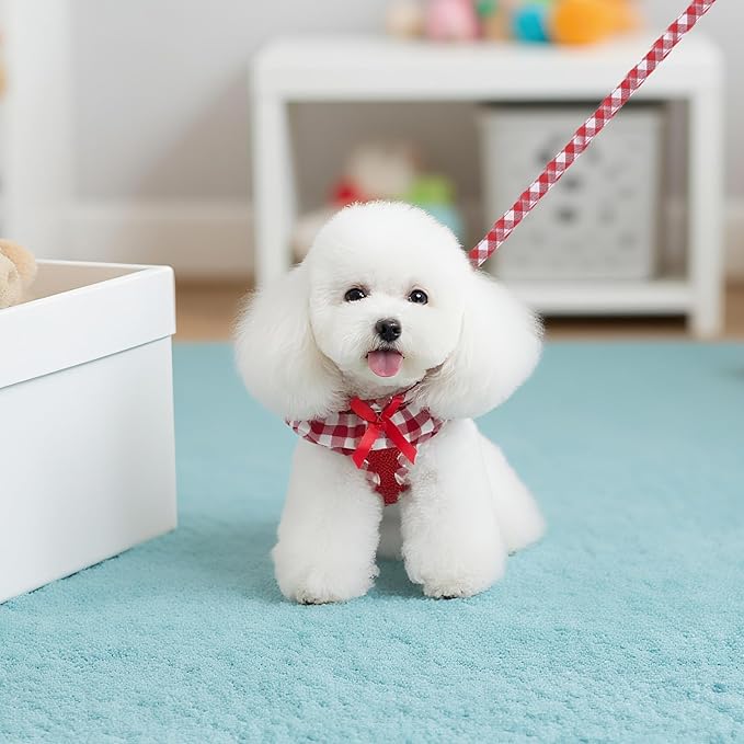 EXPAWLORER Cute Dog Harness Collar Leash Set - Red Girl Dog Harness Checkered Step-in Design, Detachable Bow Pet Collar, Adjustable No-Choke Lightweight Mesh Vest for Cats Puppy Small Dogs, S