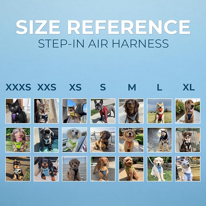 Best Pet Supplies Voyager Step-in Air Harness - All Weather Mesh, Reflective, No Pull Harness for Dogs, Cats - Secure with Hook & Loop Fastener, Buckle, Double D-Rings - Army/Black Trim, L