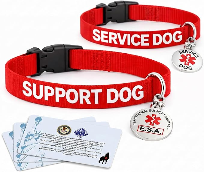 Service Dog and Emotional Support Animal ESA Collar with Metal Collar Tag (Support Dog (Collar and tag), M)