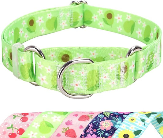 Martingale Dog Collar for Small Dogs，No-Slip Escape Proof Choke No Pull Avocado Dog Collar for Male and Female Dogs, Fruit Dog Collar for Walking Running Training