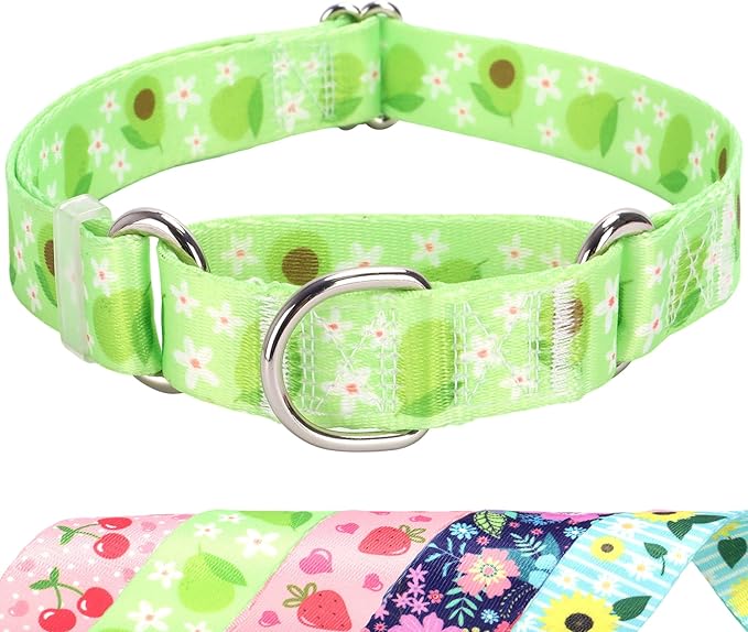 Martingale Dog Collar for Medium Dogs，No-Slip Escape Proof Choke No Pull Avocado Dog Collar for Male and Female Dogs, Fruit Dog Collar for Walking Running Training
