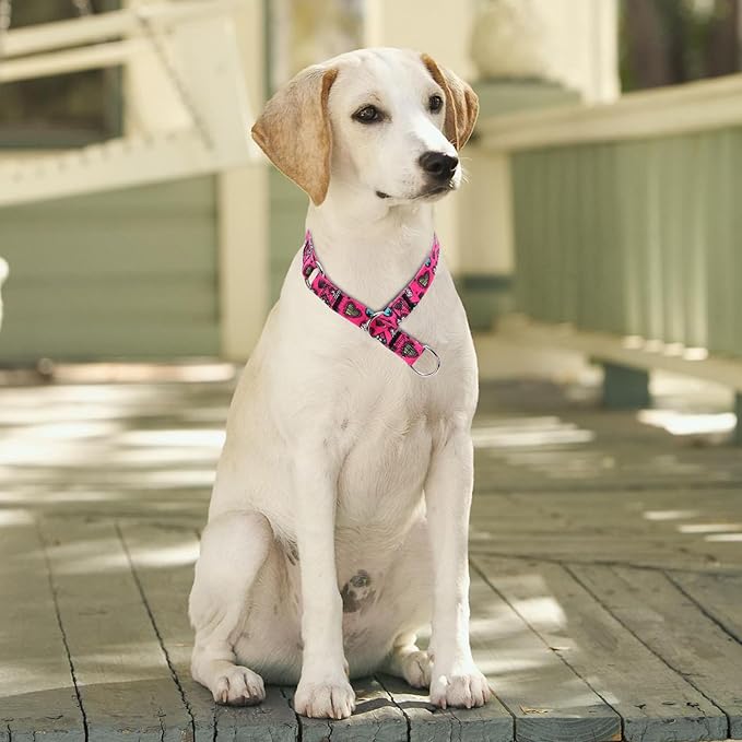 Training Dog Collar - No Pull Martingale, Slip With Slidable Stop Ring for Small, Medium, Large Dogs (NO4, L)