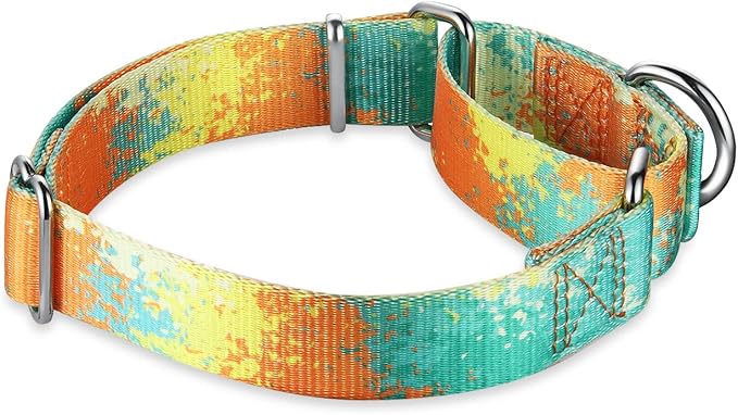 Martingale Collar for Dogs Escape-Proof No-Pull, Durable Polyester Training Collar for Dogs, No-Buckle (Deserts and Oases, Large)