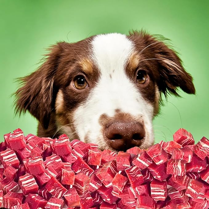 Oven Roasted Single Ingredient Treats for Dogs & Cats | Easy Chew (3.1 oz, Marbled Beef Cubes)