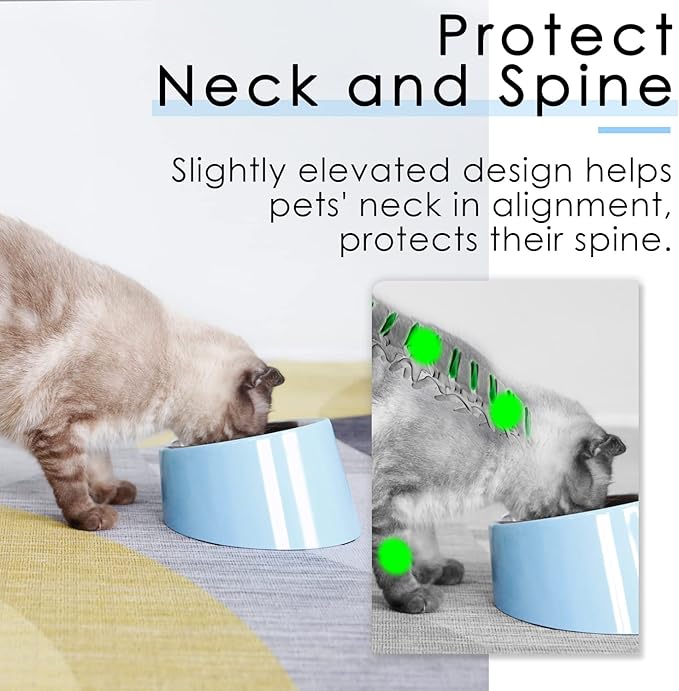 SuperDesign Mess Free 15° Slanted Bowl for Dogs and Cats, Tilted Angle Bulldog Bowl Dog Feeder, Non-Skid & Non-Spill, Easier to Reach Food M/1 Cup Blue