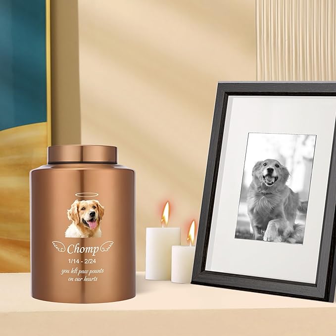 Custom Urns for Dogs Cats Ashes Personalized Pet Urn with Name and Photo Pet Cremation Memorial Urn for Loss of Dog or Cats Engraved Pet Funeral Urns (Angel)