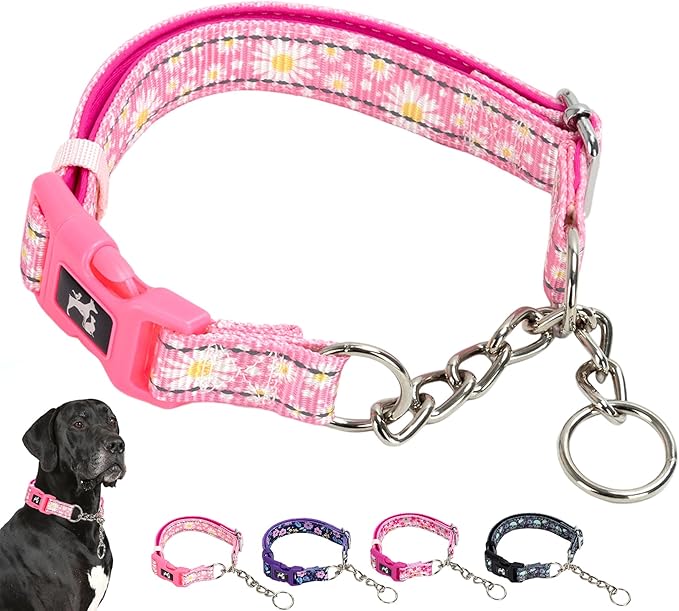 Martingale Dog Collar Trainer Approved Limited Slip Collar with Stainless Steel Chain & Heavy Duty Buckle - Modified Cinch Collar for Gentle & Effective Pet Training - Medium