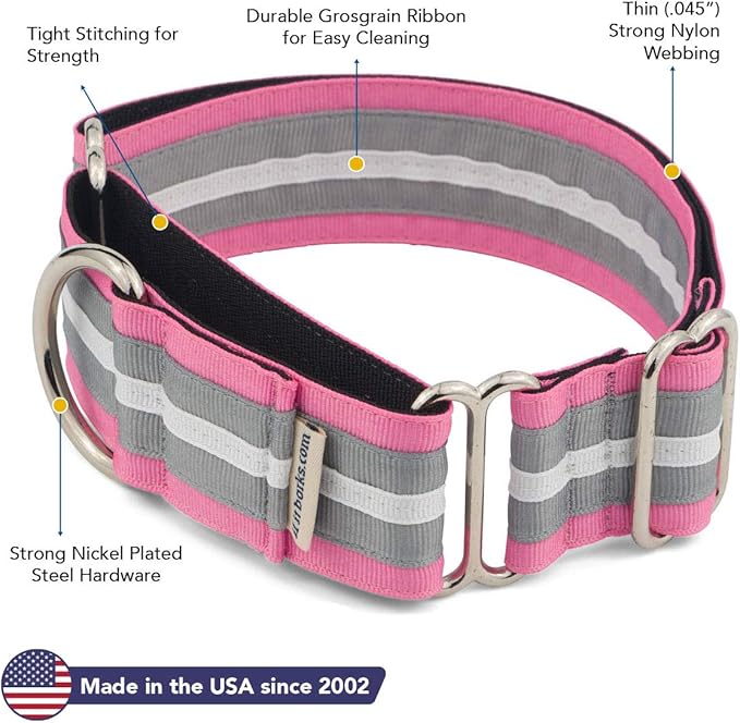 If It Barks - 1.5" Martingale Collar for Dogs - Adjustable - Nylon - Strong and Comfy - Ideal for Training - Made in USA - Medium, Spunky