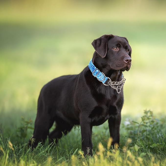 Stainless Steel Chain Collar Martingale, No Pull Slip Cinch Choker Choke Collar Training Escape Proof Heavy Duty Dog Collar for Small Medium Large Pet Boy Male Dogs, Blue M