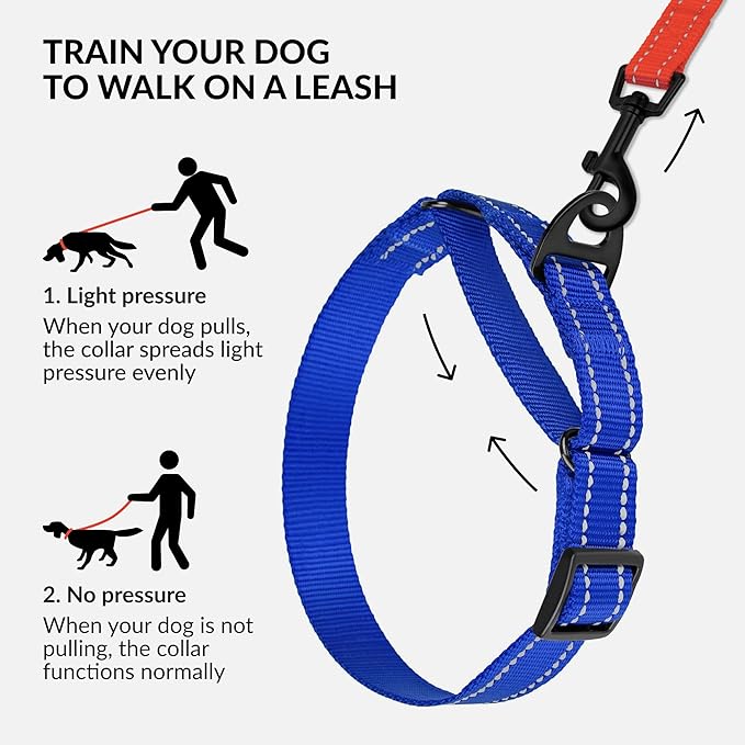 Collardirect Reflective Martingale Dog Collar Nylon Training Collars for Small Medium Large Dogs Puppy Pink Orange Green (S, Neck Size 11"-15", Blue)