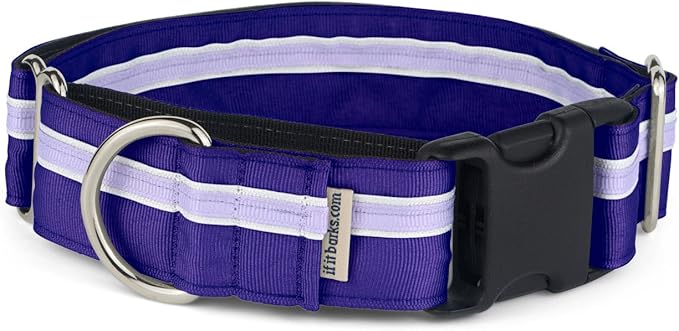 If It Barks - 1.5" Martingale Collar for Dogs - Quick Snap Release Buckle - Adjustable - Nylon - Strong and Comfy - Ideal for Training - Made in USA - Medium, Grape Crush