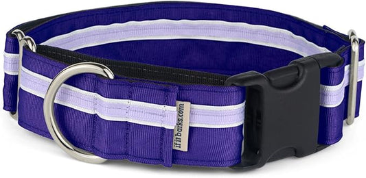 If It Barks - 1.5" Martingale Collar for Dogs - Quick Snap Release Buckle - Adjustable - Nylon - Strong and Comfy - Ideal for Training - Made in USA - Medium, Grape Crush
