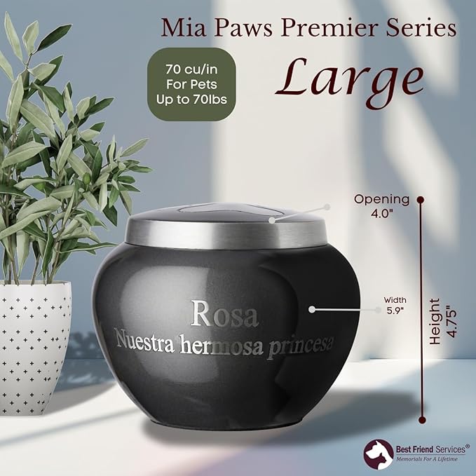 Mia Paws Premier Series Pet Urn for Dogs with Personalized Laser Engraving (Large - Pets up to 65 lbs, Slate, Single Pewter Paw)