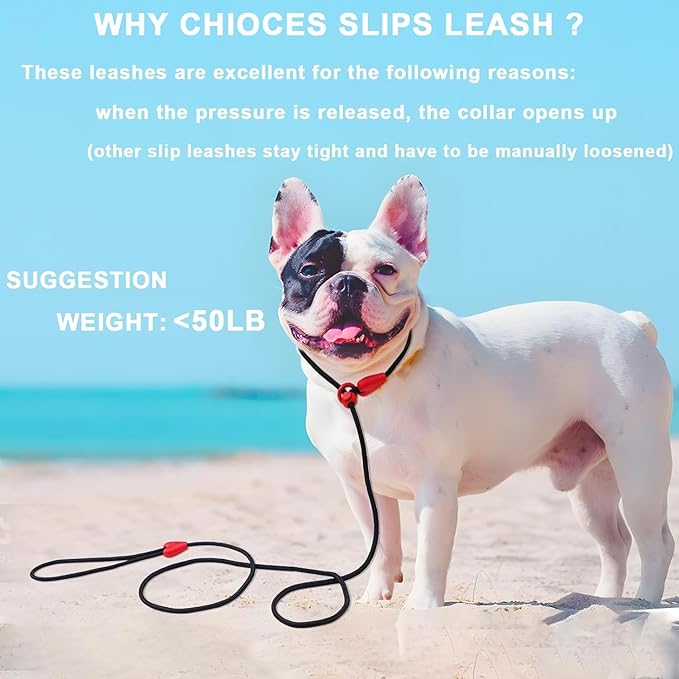 Slip Leads for Dogs Puppy Leash Comfortable 5FT Heavy Duty Loop Leash No Pull Pet Training Leash 6 Colors Classic Dog Leash for Small Medium Dogs(Black)