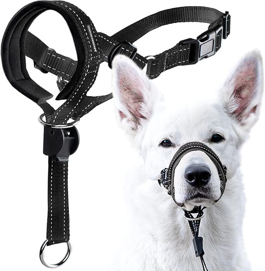 GoodBoy Dog Head Halter with Safety Strap - Stops Heavy Pulling On The Leash - Padded Headcollar for Small Medium and Large Dog Sizes - Head Collar Training Guide Included (Size 2, Black)