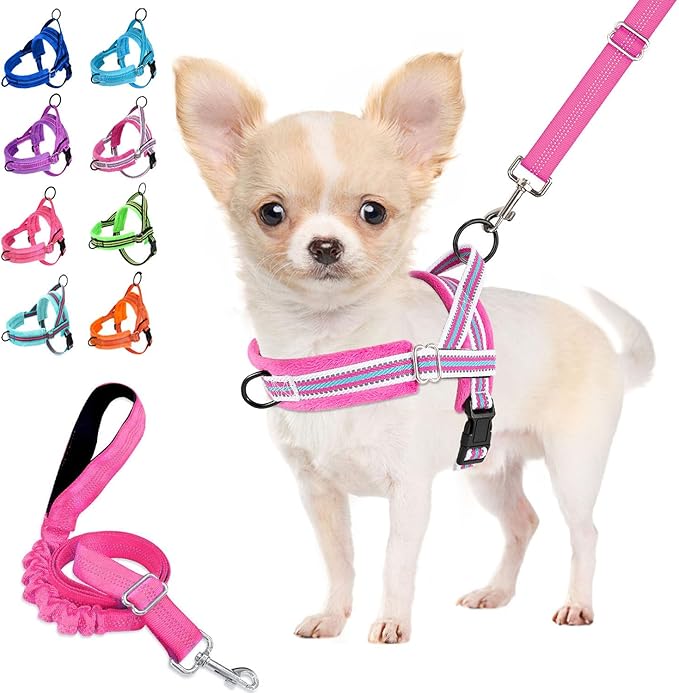 Lukovee No Pull Dog Harness and Leash Set, Soft Padded Small Dog Harness, Neck & Chest Adjustable Reflective Vest Puppy Harness with 4ft Lightweight Anti-Twist Dog Leash for Small Dogs (M, Fuschia)