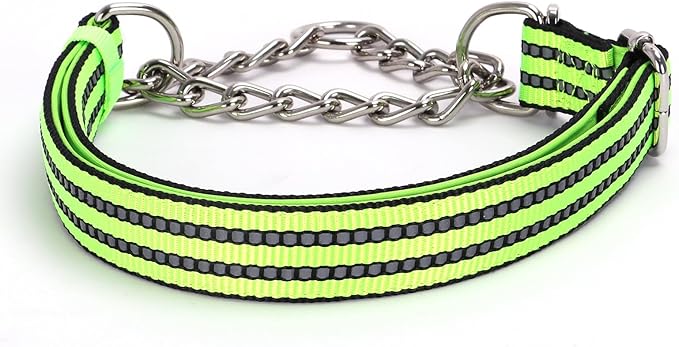 Martingale Dog Collar with Stainless Steel Chain,No Pull Slip Cinch Choker Choke Collar Training Escape Proof Heavy Duty Dog Collar for Small Medium Large Pet Boy Male Dogs,Green XL