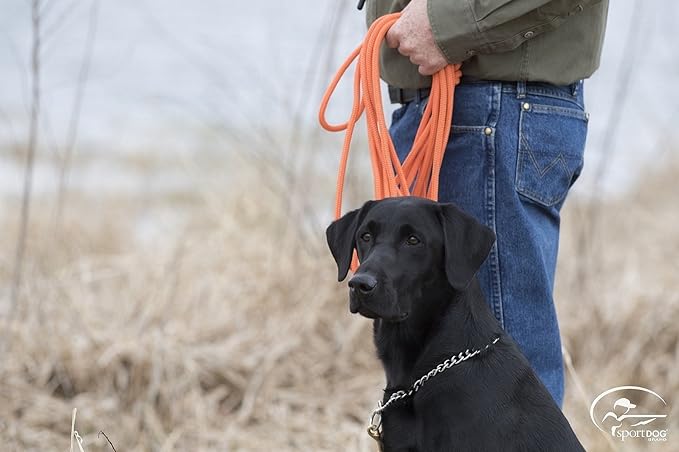 SportDOG Orange Check Cord - High-Visibility Floating Check Cord - Lightweight Tangle-Free Long Dog Training Lead with Heavy-Duty Brass Snap