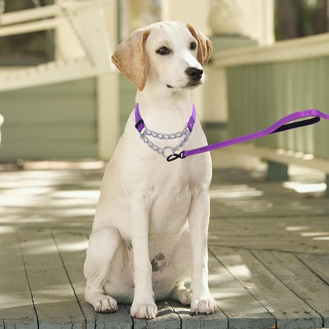 Martingale Dog Collar with Stainless Steel Chain and Leash Set, Martingale Collar with Reflective, 5FT Double Handle Dog Leash Padded, Adjustable for Medium Large Dogs (S, Purple)