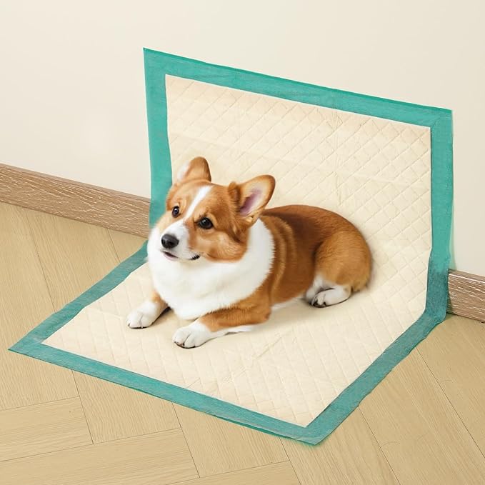 Gardner Pet Puppy Pee Pads Large 18"x24", 10 Count, Dog Pee Pads with Adhesive Sticky Tape, Max Absorbency, Leak Prevention Disposable Training Bed Pad for Doggie, Cats, Rabbits, Crate/Cage