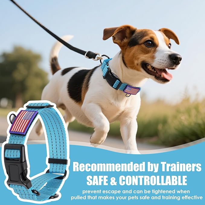 Martingale Collar for Dogs, Reflective Heavy Duty with Quick Release Nylon Buckle-USA Flag-No Pull Training Choker for Walking, Training, Sky Blue,M