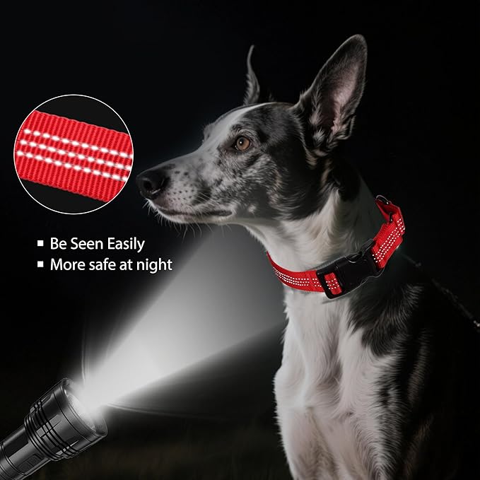 Martingale Dog Collar Quick Release Buckle No Pull Reflective Non-Slip for Medium Large Dogs Training (Red, Large)