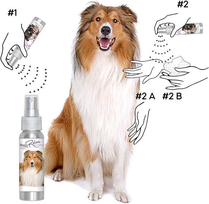 The Blissful Dog Collie Relax Dog Aromatherapy Spray for Your Dog's Anxiety
