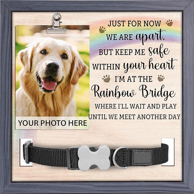 Pawfect House 9x9 Inches Pet Memorial Picture Frame With Collar Holder, Pet Memorial Gifts For Dogs, Loss Of Dog Sympathy Gift, In Loving Memory Rainbow Picture Frame, Dog Bereavement Gifts